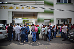 Campesinos y colonos del Estado protestan ante falta de apoyo de la SEDARPA