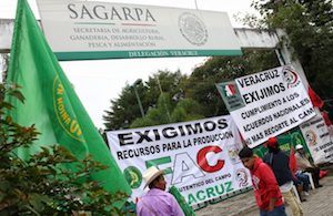 Exigen organizaciones campesinas la entrega de apoyos a la Sagarpa
