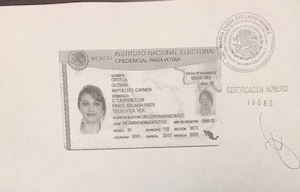 Por falsificar documentos, prohíben a ex candidata del PRI salir del país