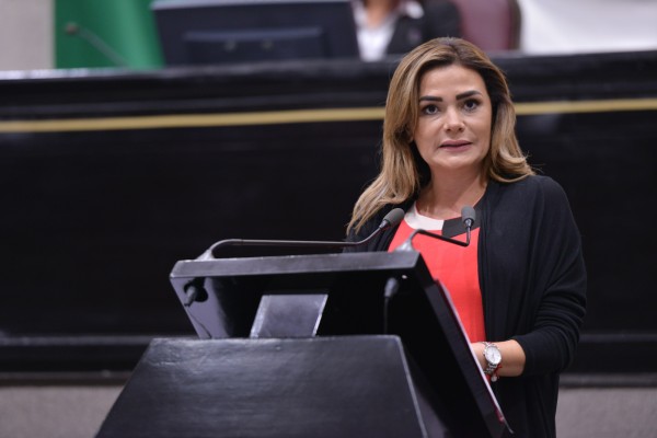 Precisarían legalmente comparecencias de organismos autónomos