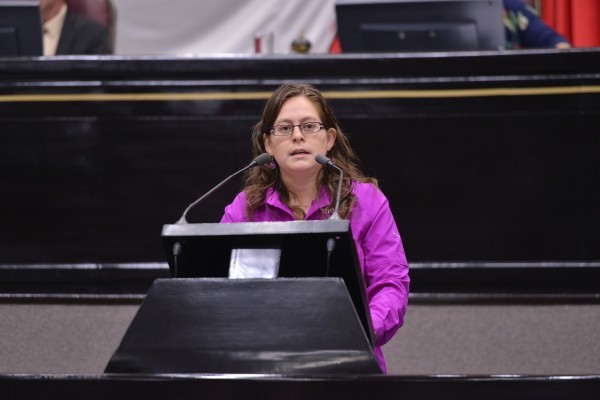 Se ampliarían las causales para la interrupción del embarazo