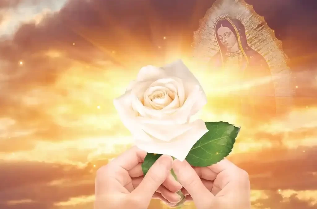 La Rosa de Guadalupe cumple 19 años de transmisiones