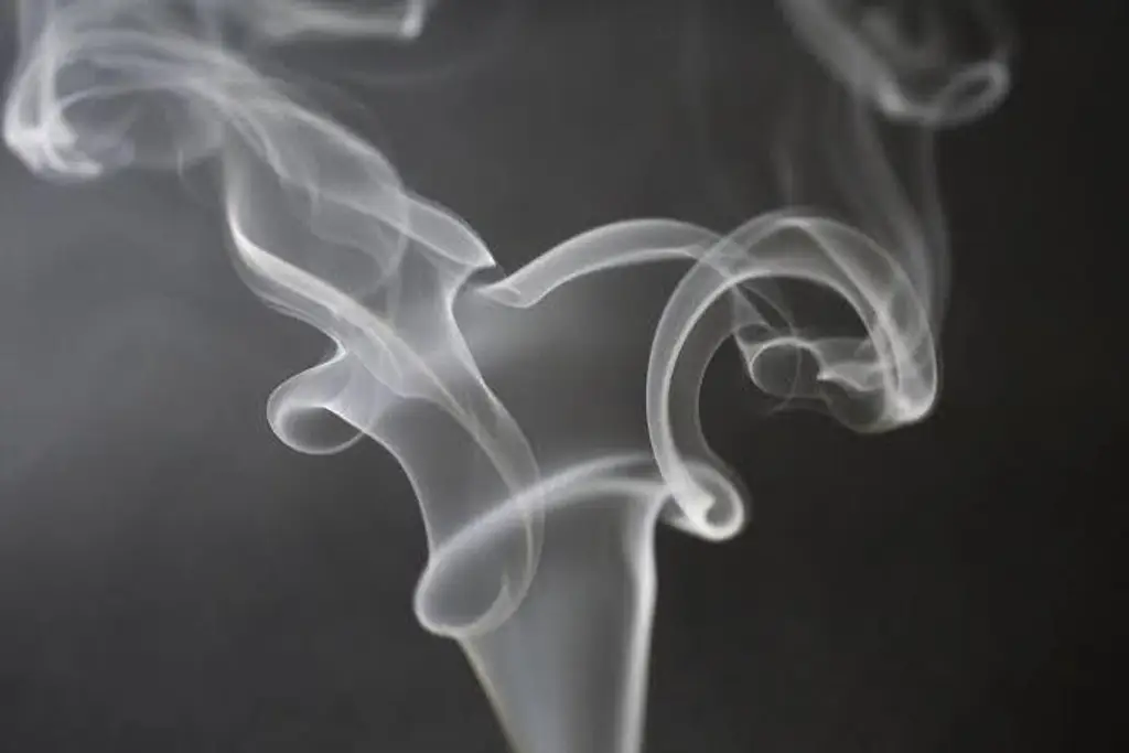 ¿Fumar cannabis también afecta a quienes están cerca? Esto revela un estudio